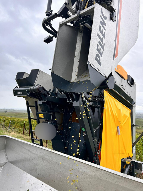 Fischer Team Pellenc Beratung Weinberg Pfalz