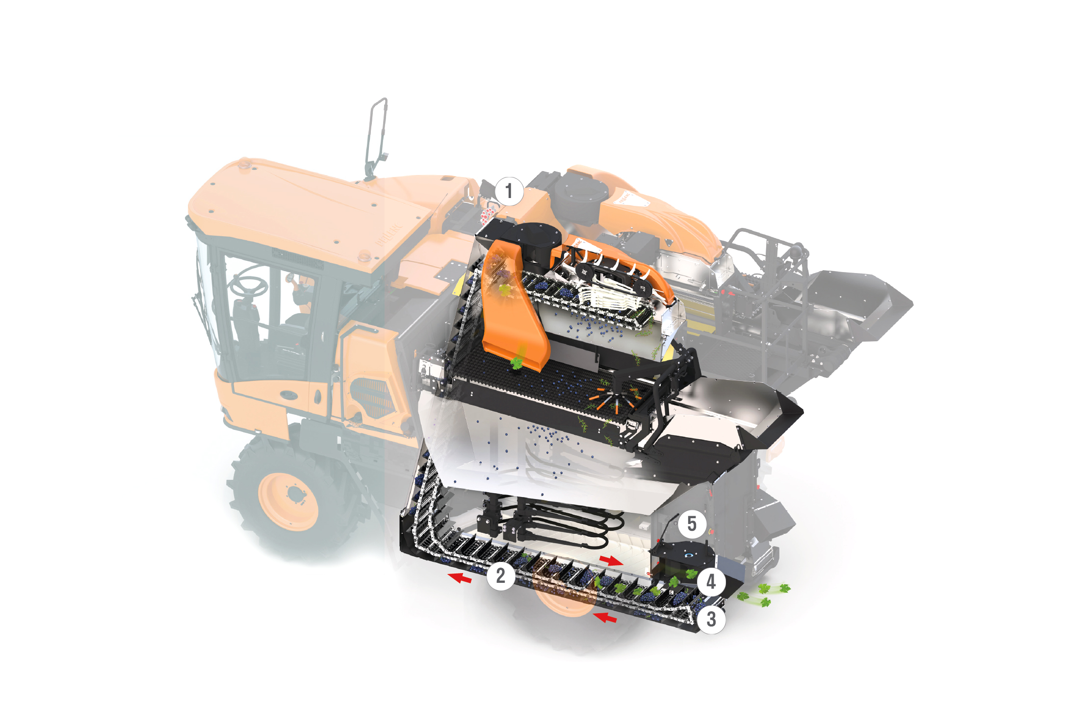 Pellenc Förderband Sortiertisch technische Details Fischer Landmaschinen