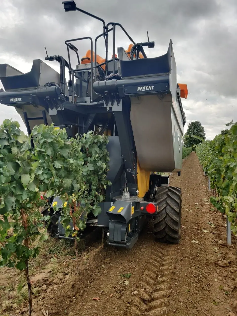 Pellenc Traubenvollernter im Weinberg